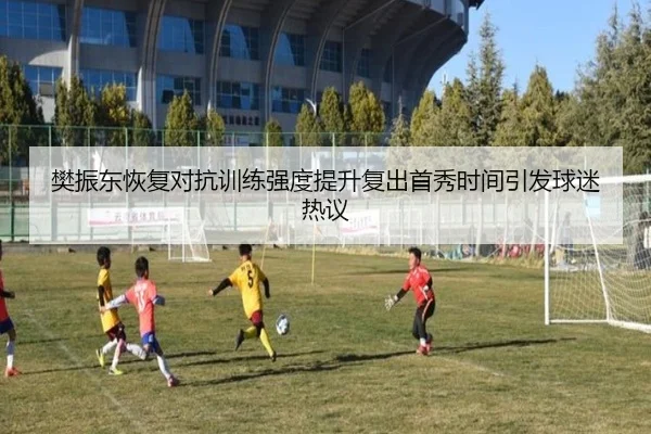 樊振东恢复对抗训练强度提升复出首秀时间引发球迷热议